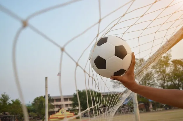 6T体育APP 应用预览与赛场瞬间